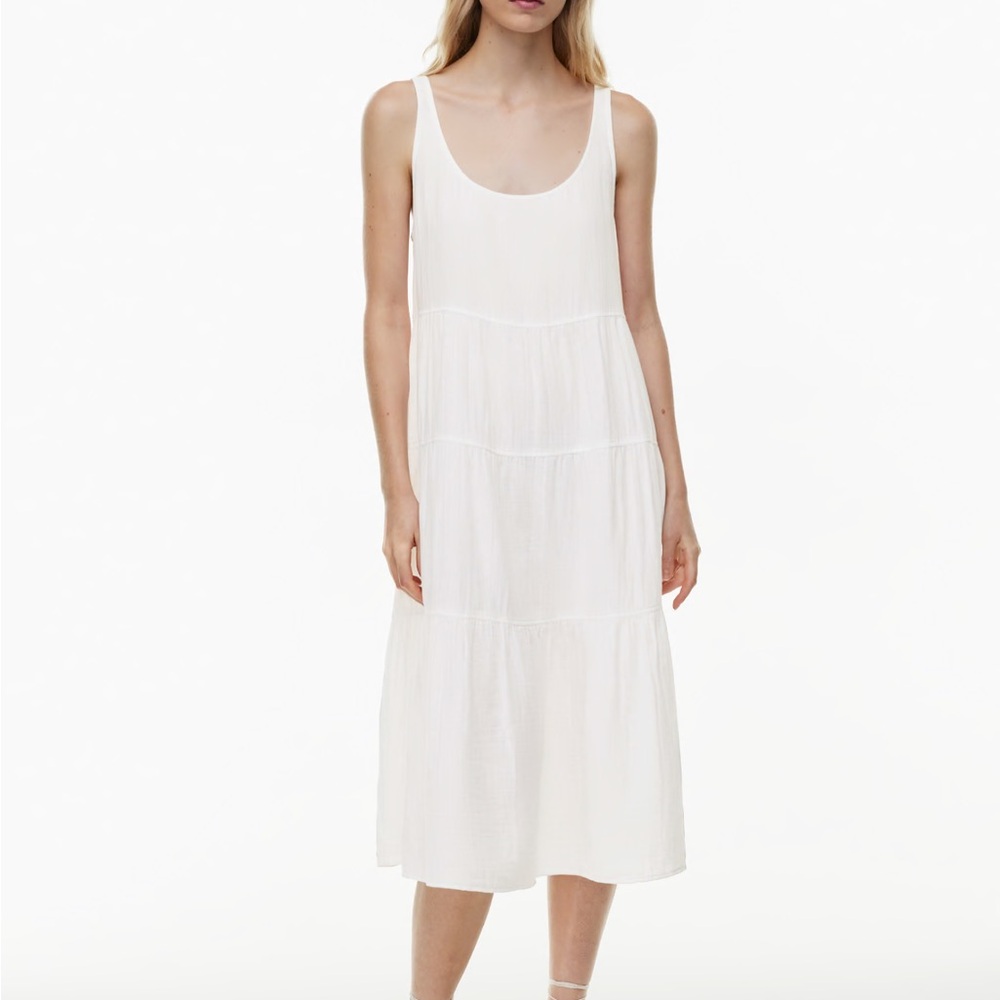 Aritzia Wilfred Firefly Dress